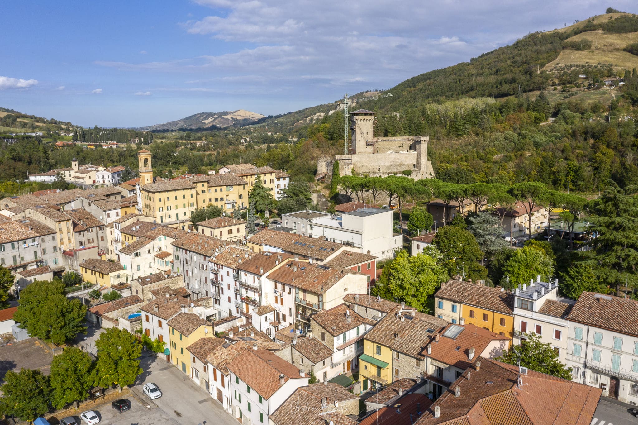 andrea-bonavita-0250(1)(1)