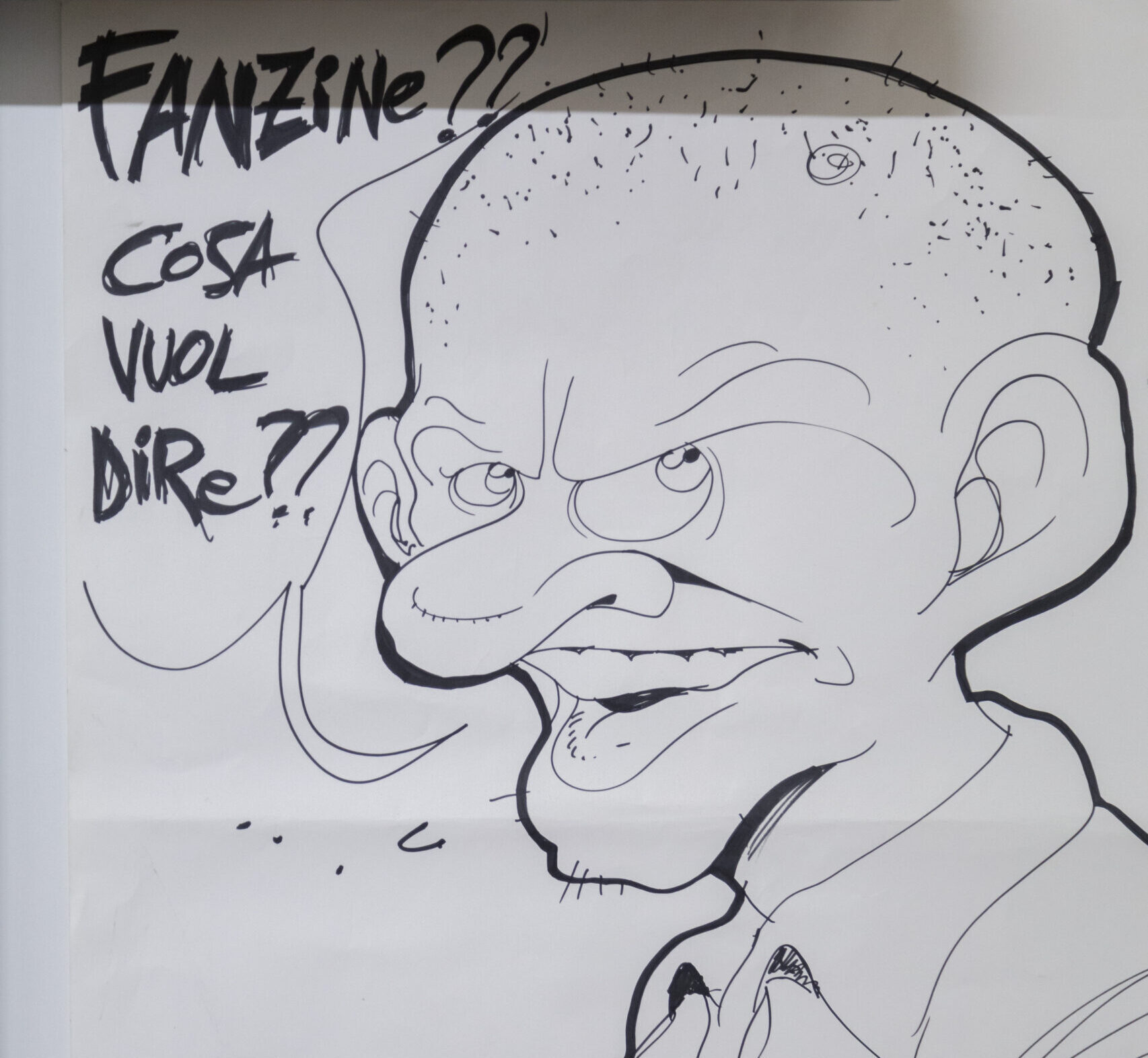 Fumettoteca Regionale Alessandro Callegati (10)