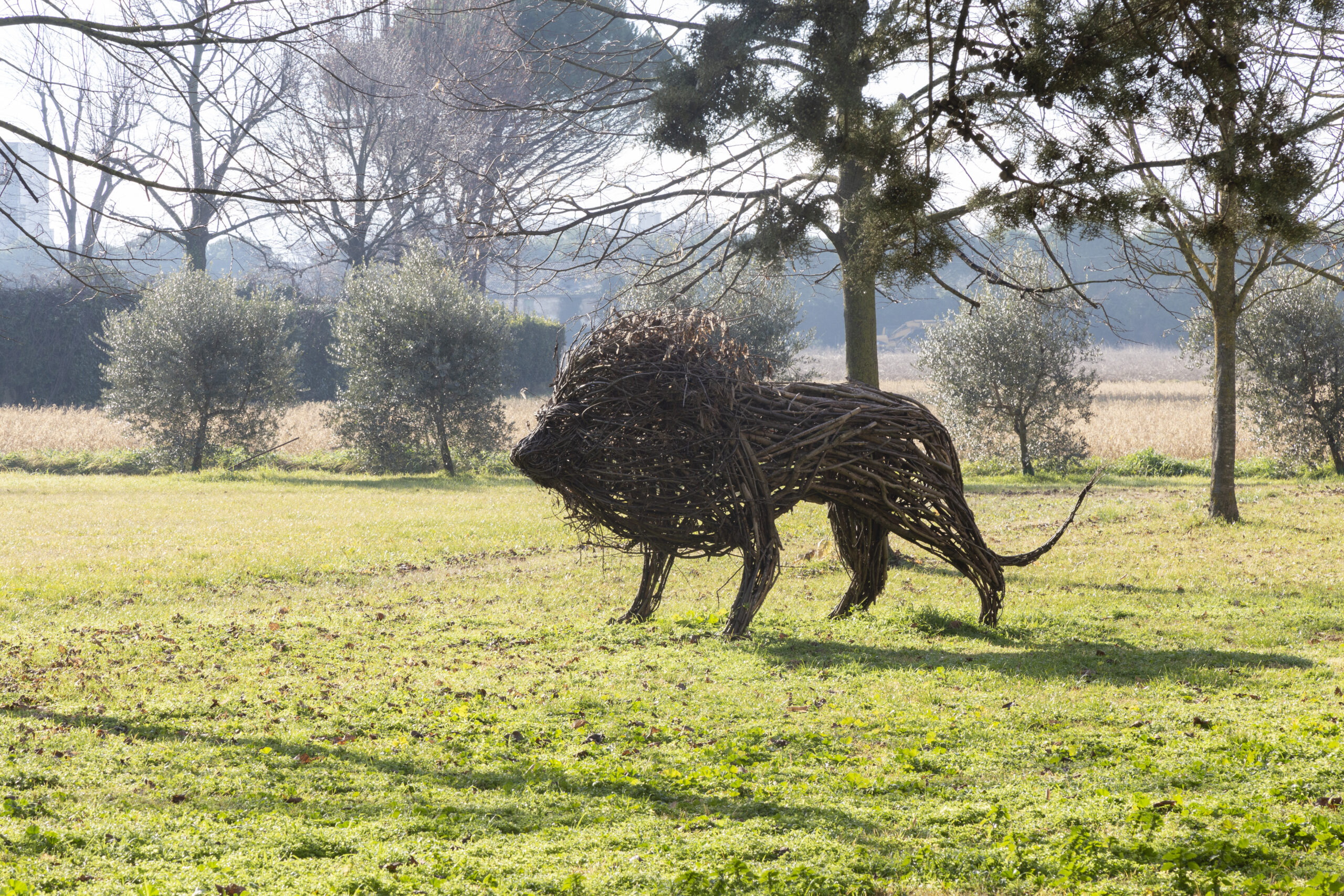 Santuario di Santa Maria delle Grazie a Fornò (14)